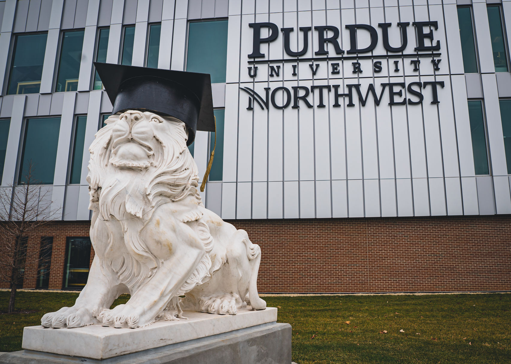 Best Adult Education Institution